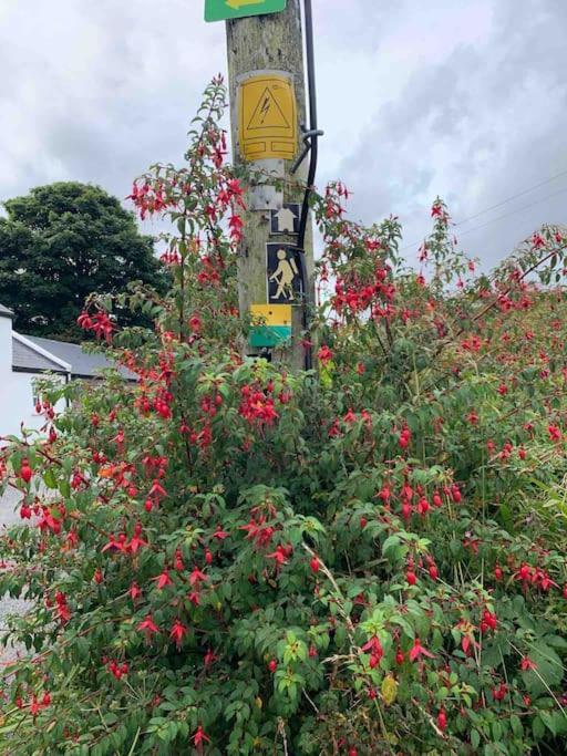 Castlegregory-Seaside 2 Bedroomed Cottage Luaran gambar
