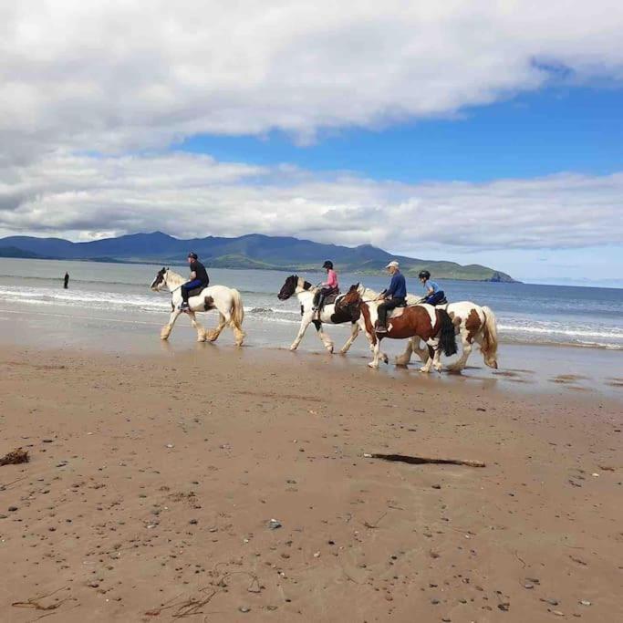 Castlegregory-Seaside 2 Bedroomed Cottage Luaran gambar